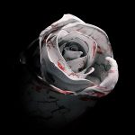 دانلود آهنگ Romantic Homicide به همراه متن