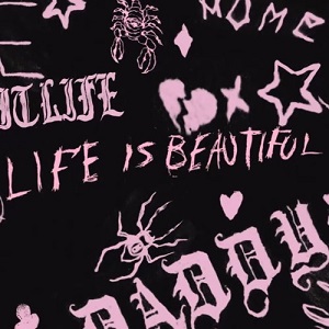 دانلود آهنگ Life Is Beautiful از LilPeep دانلود آهنگ Life Is Beautiful از LilPeep