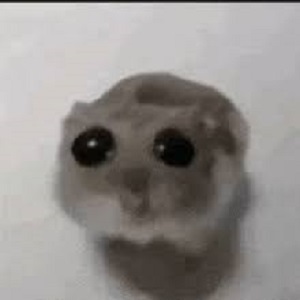 دانلود آهنگ Sad Hamster دانلود آهنگ Sad Hamster