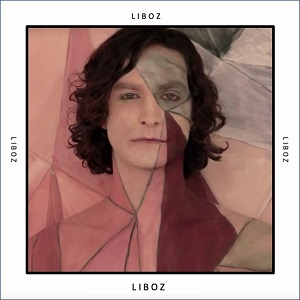 دانلود آهنگ Somebody That I Used to Know از Gotye