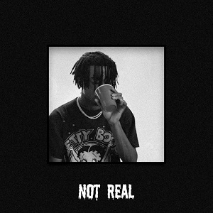 دانلود آهنگ Not Real از Playboi Carti دانلود آهنگ Not Real از Playboi Carti