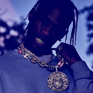 دانلود آهنگ Who? What! از Travis Scott
