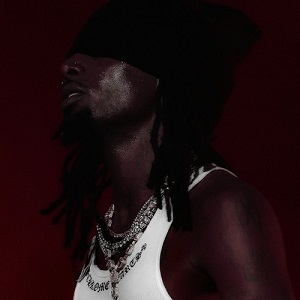 دانلود آهنگ TOXIC از Playboi Carti and Skepta دانلود آهنگ TOXIC از Playboi Carti and Skepta