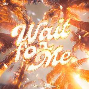 دانلود آهنگ فانک WAIT FOR ME از MXZI دانلود آهنگ فانک WAIT FOR ME از MXZI